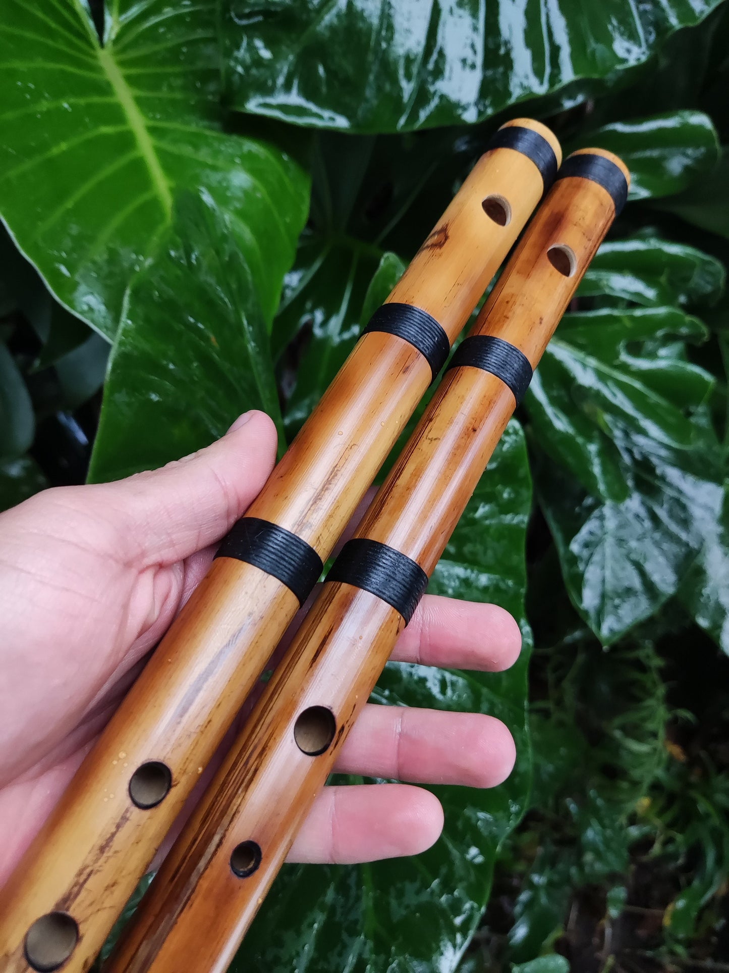 RESERVED FOR FRITZ. The raga set. Raga Charukesi and Shivranjani in A. Indian raga flutes