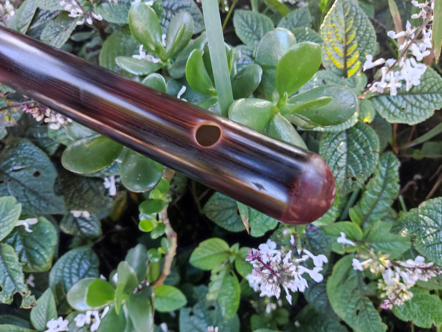 E Major Flute. Bamboo Transverse flute tuned in E major. Concert tuned. A = 440 Hz. Bansuri. Dark color