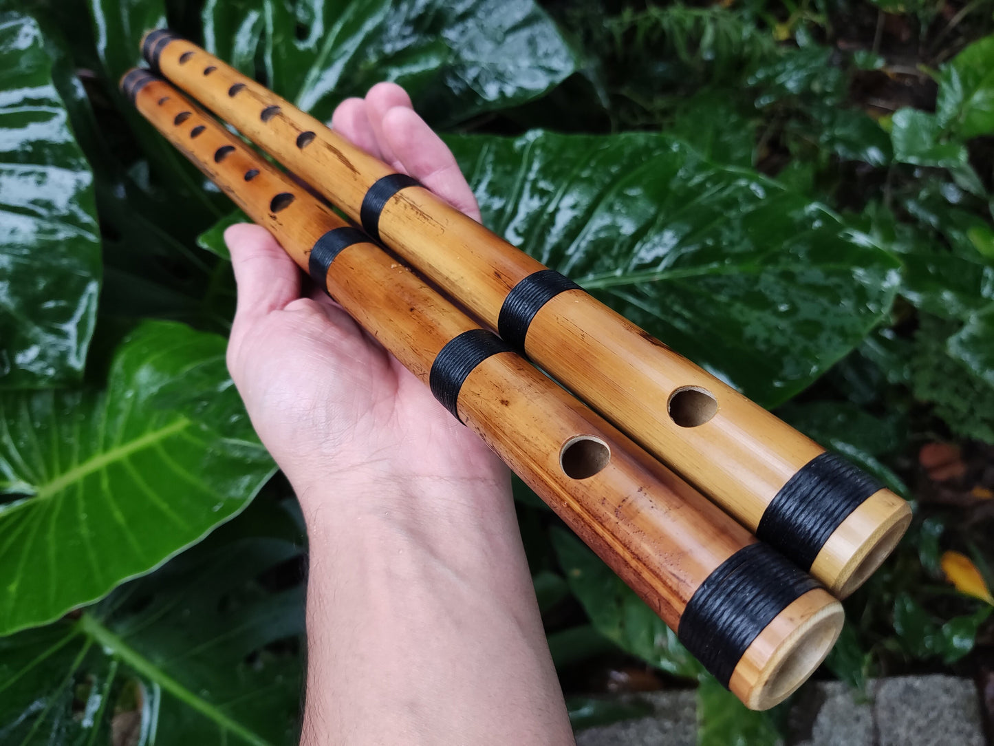 RESERVED FOR FRITZ. The raga set. Raga Charukesi and Shivranjani in A. Indian raga flutes