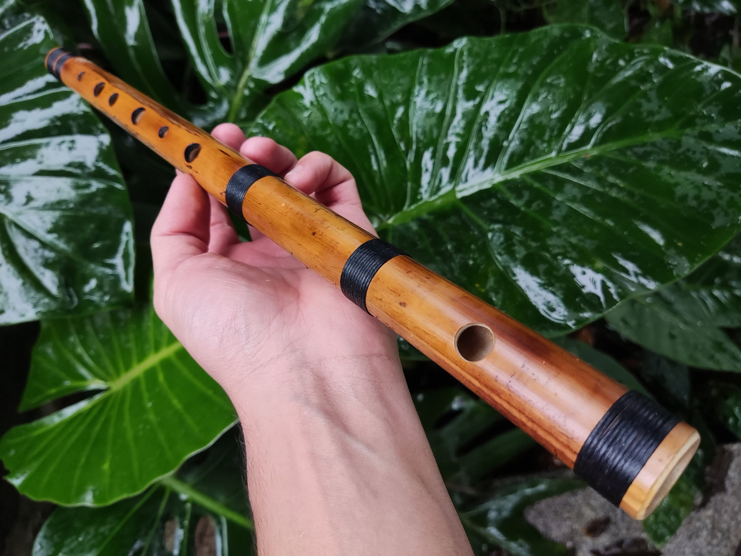 RESERVED FOR FRITZ. The raga set. Raga Charukesi and Shivranjani in A. Indian raga flutes