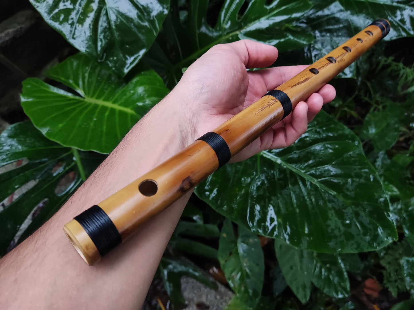 RESERVED FOR FRITZ. The raga set. Raga Charukesi and Shivranjani in A. Indian raga flutes