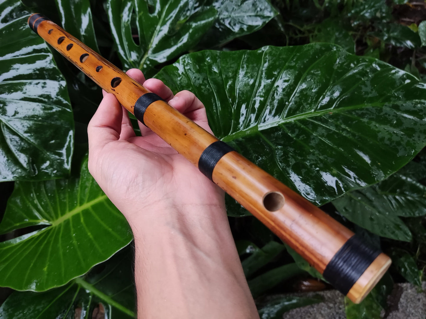 RESERVED FOR FRITZ. The raga set. Raga Charukesi and Shivranjani in A. Indian raga flutes