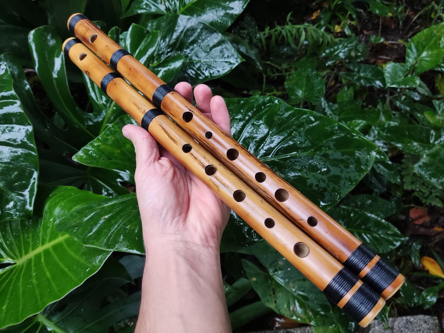 RESERVED FOR FRITZ. The raga set. Raga Charukesi and Shivranjani in A. Indian raga flutes