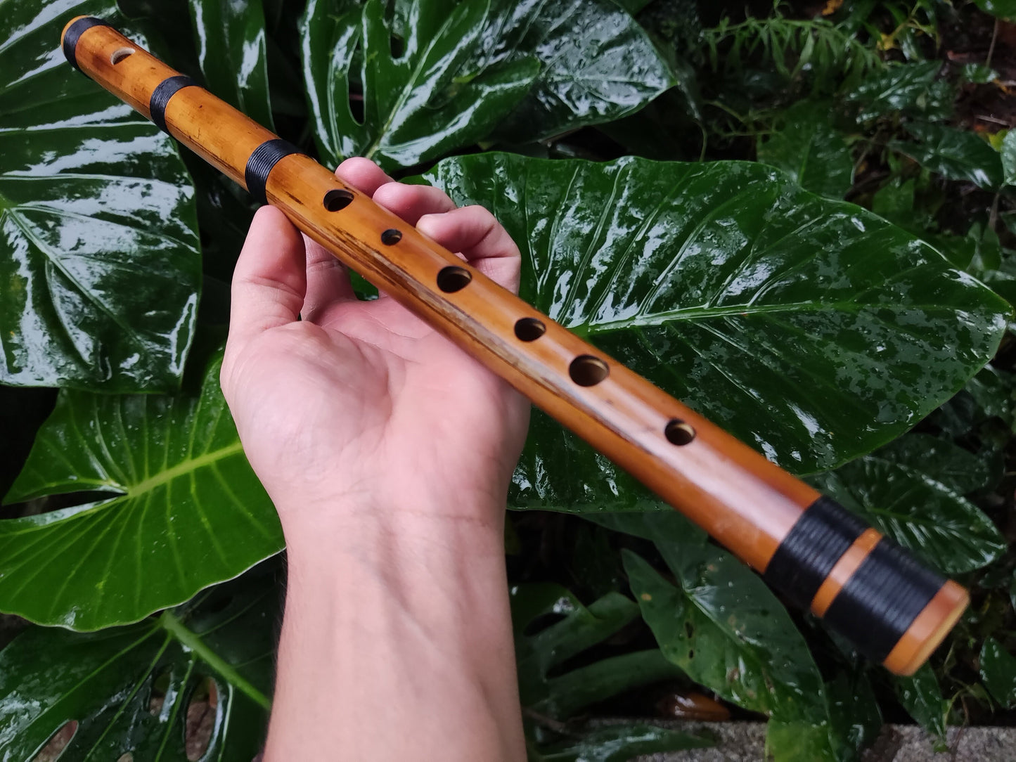 RESERVED FOR FRITZ. The raga set. Raga Charukesi and Shivranjani in A. Indian raga flutes
