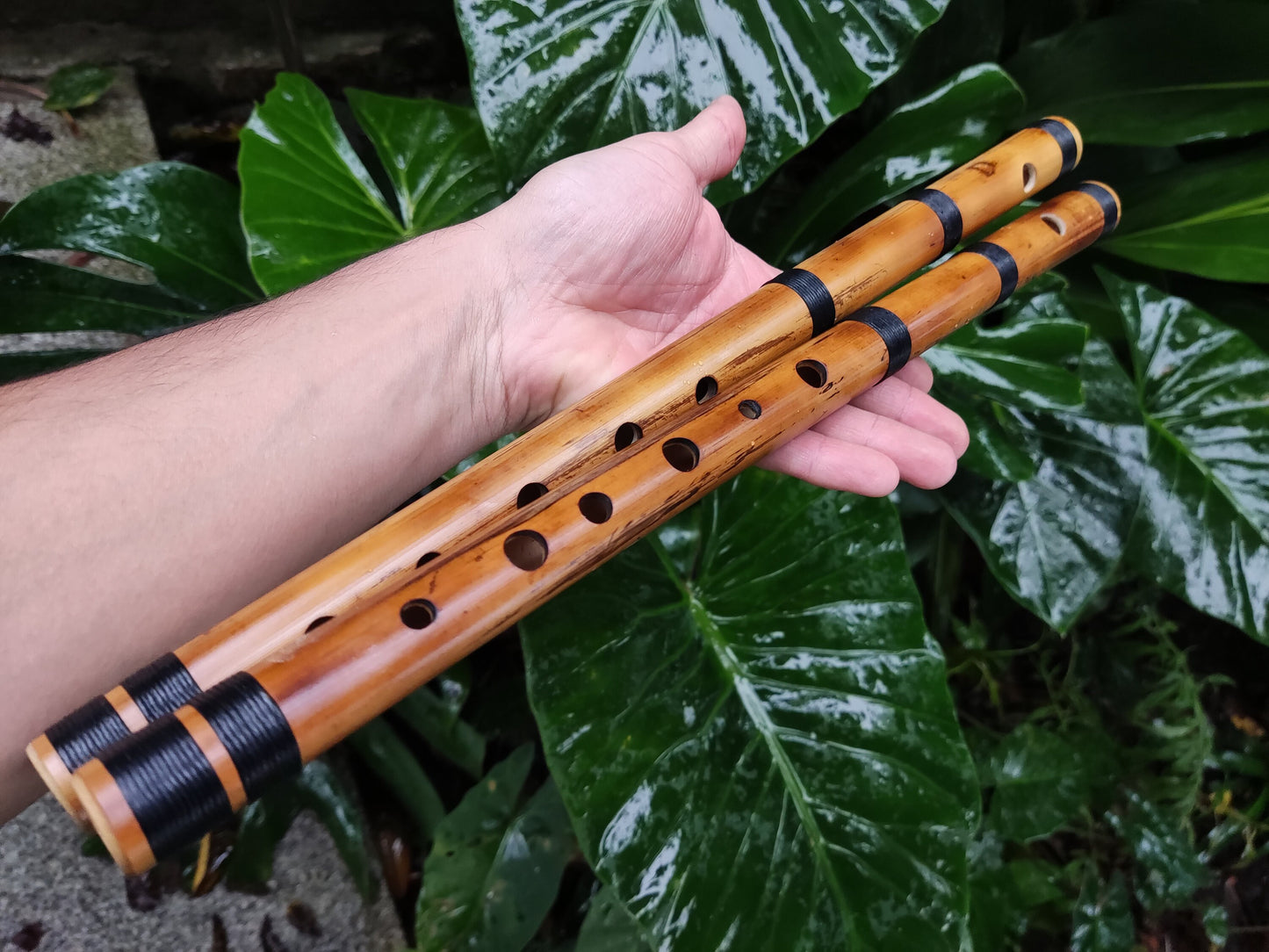 RESERVED FOR FRITZ. The raga set. Raga Charukesi and Shivranjani in A. Indian raga flutes