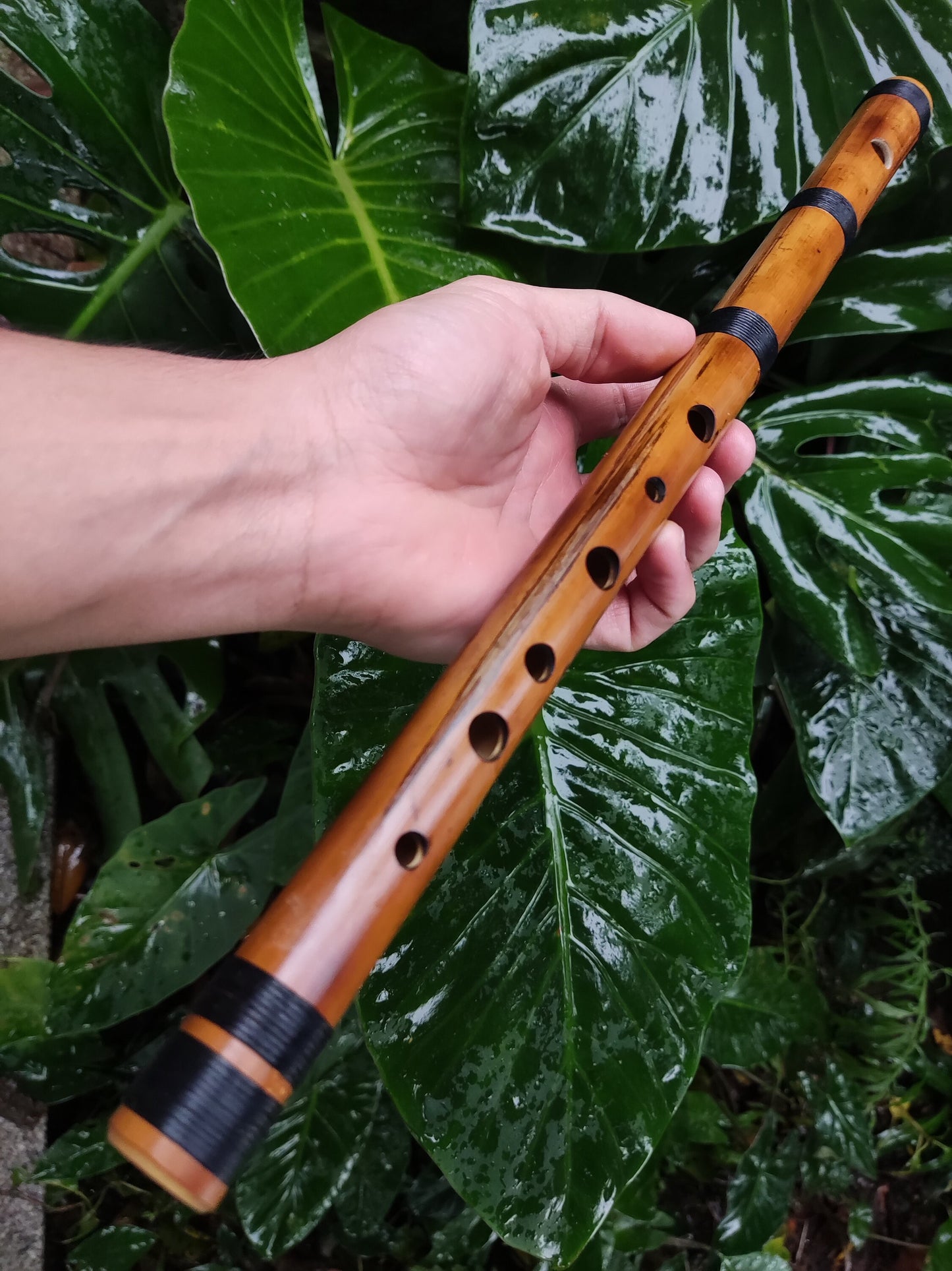 RESERVED FOR FRITZ. The raga set. Raga Charukesi and Shivranjani in A. Indian raga flutes