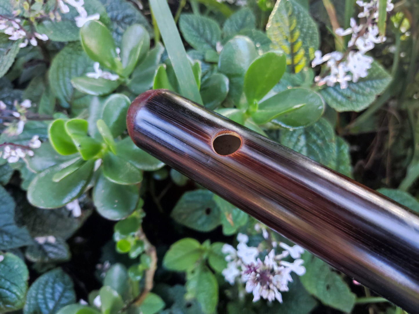 E Major Flute. Bamboo Transverse flute tuned in E major. Concert tuned. A = 440 Hz. Bansuri. Dark color