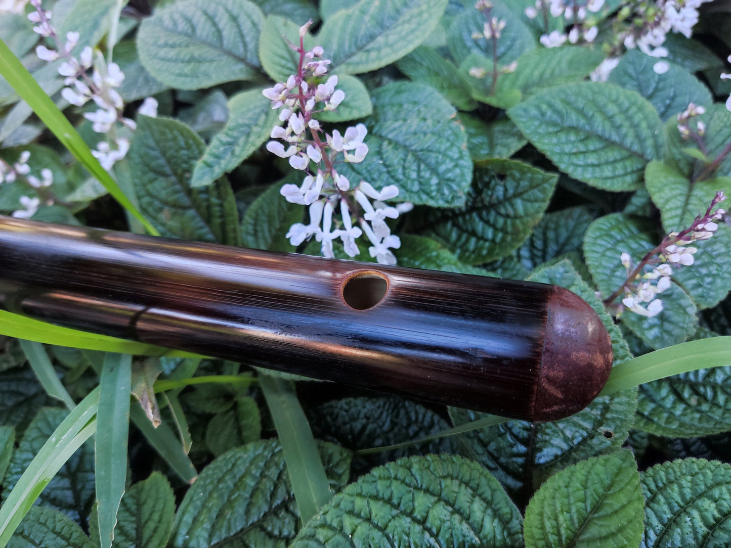 E Major Flute. Bamboo Transverse flute tuned in E major. Concert tuned. A = 440 Hz. Bansuri. Dark color