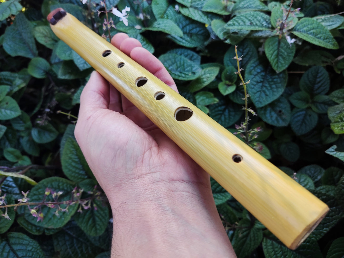 Ethnic Fipple flute with an Arabian scale. Hijaz Kar flute. Arabic flute. Persian flute. Rustic handmade bamboo flute. Pocket flute.