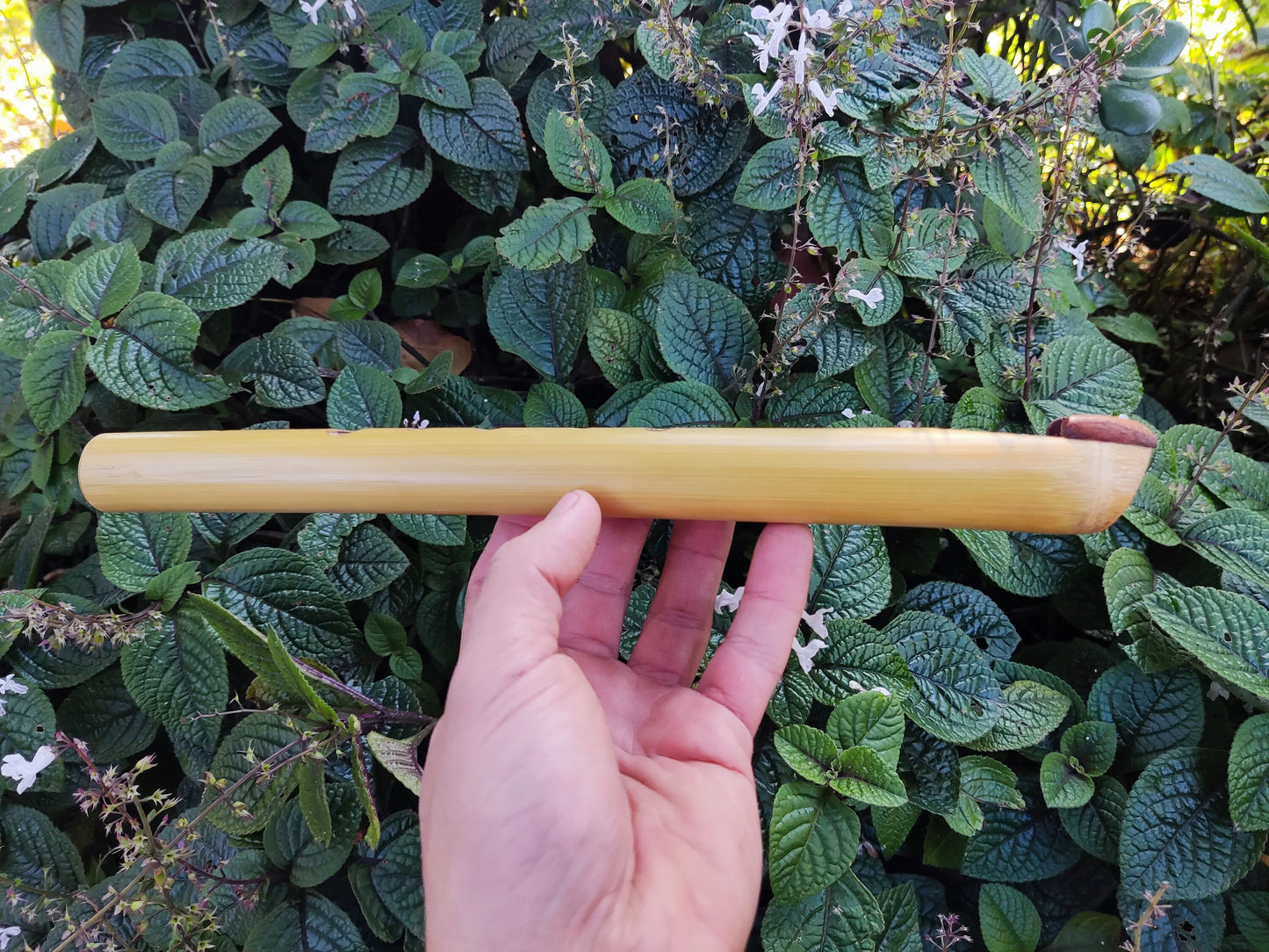Ethnic Fipple flute with an Arabian scale. Hijaz Kar flute. Arabic flute. Persian flute. Rustic handmade bamboo flute. Pocket flute.