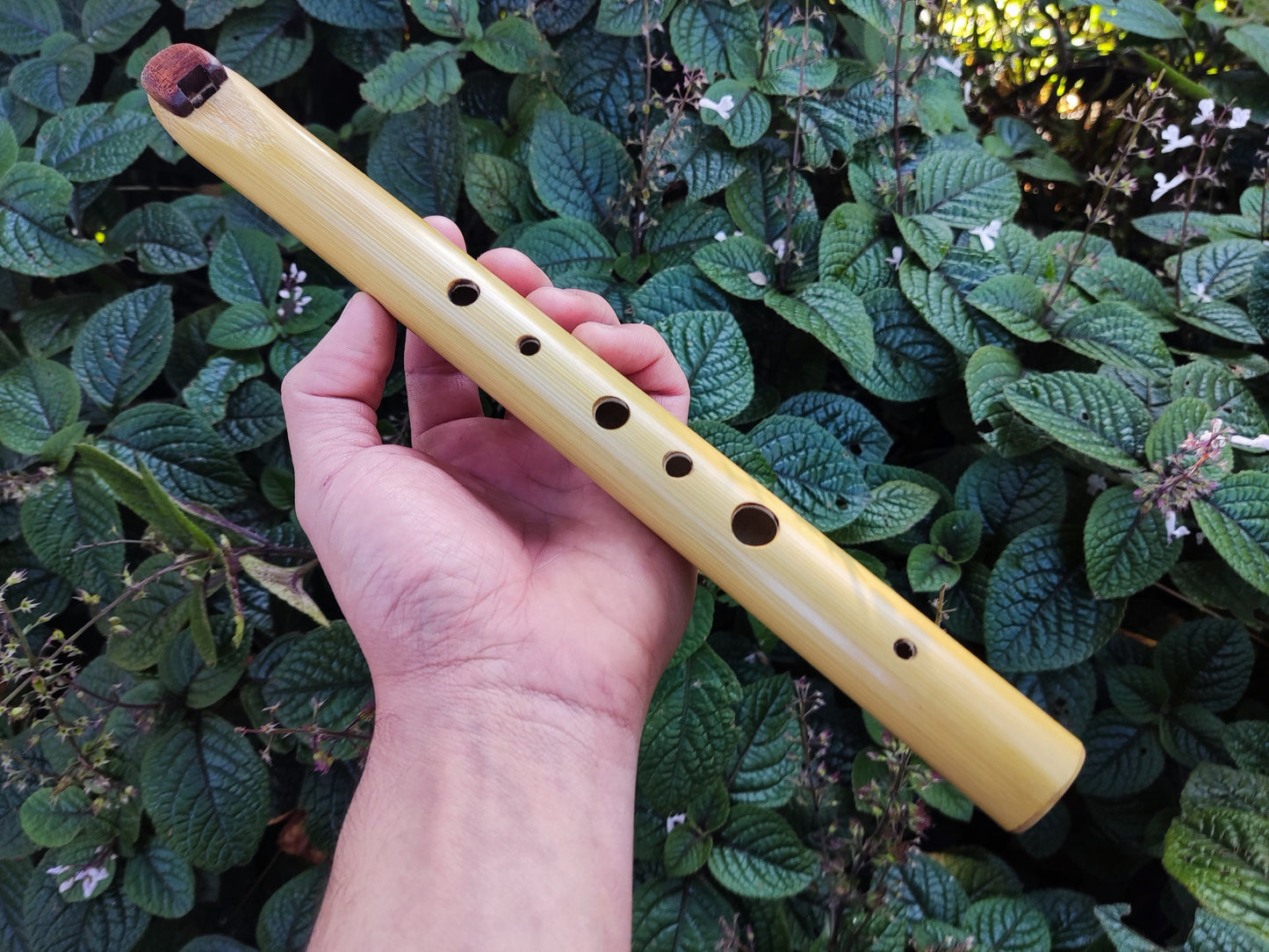 Ethnic Fipple flute with an Arabian scale. Hijaz Kar flute. Arabic flute. Persian flute. Rustic handmade bamboo flute. Pocket flute.