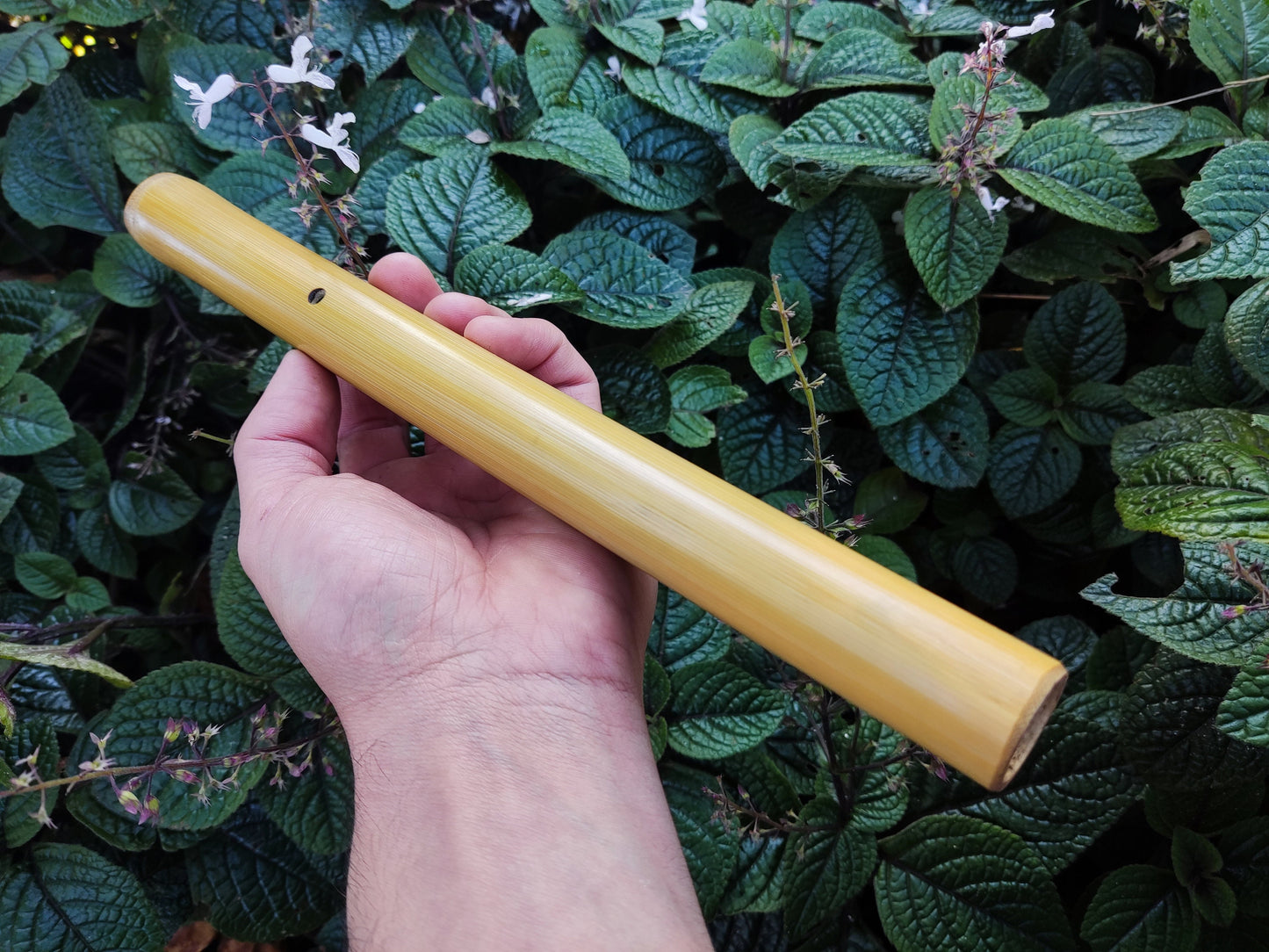 Ethnic Fipple flute with an Arabian scale. Hijaz Kar flute. Arabic flute. Persian flute. Rustic handmade bamboo flute. Pocket flute.