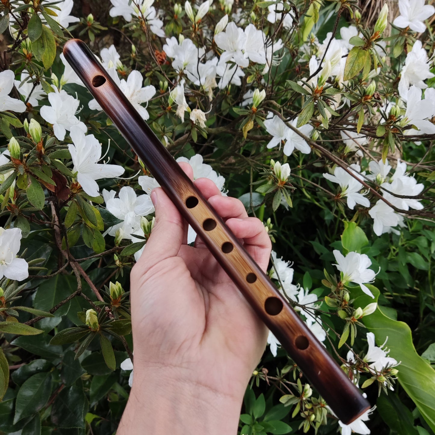 High D Major Flute. Small Bamboo Transverse flute tuned in D major. Irish fife in  D. Bansuri flute. Concert tuned. A = 440 Hz. Dark color