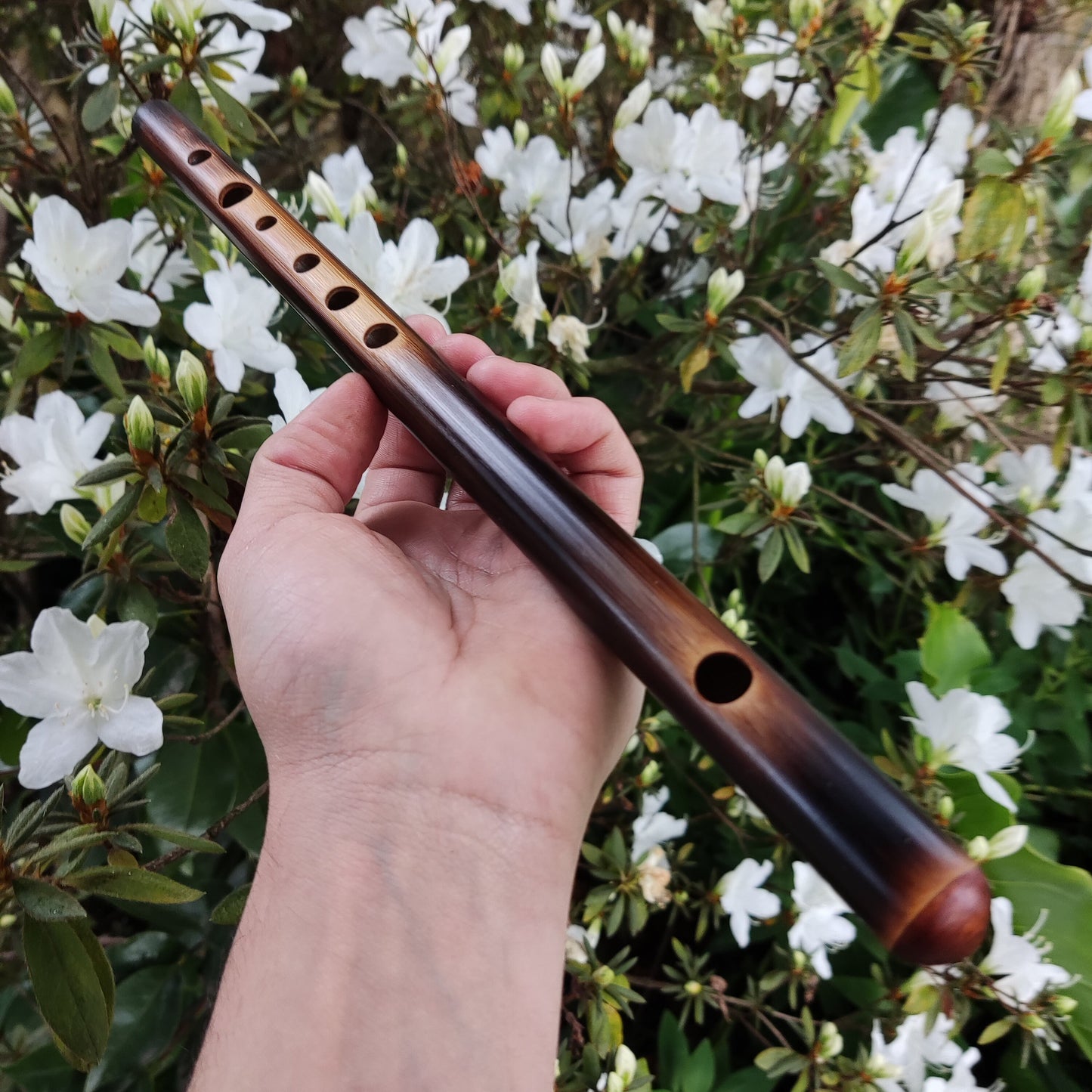 High D Major Flute. Small Bamboo Transverse flute tuned in D major. Irish fife in  D. Bansuri flute. Concert tuned. A = 440 Hz. Dark color