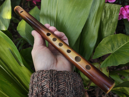 High D Major Flute. Small Bamboo Transverse flute tuned in D major. Irish fife in  D. Bansuri flute. Concert tuned. A = 440 Hz. Dark color