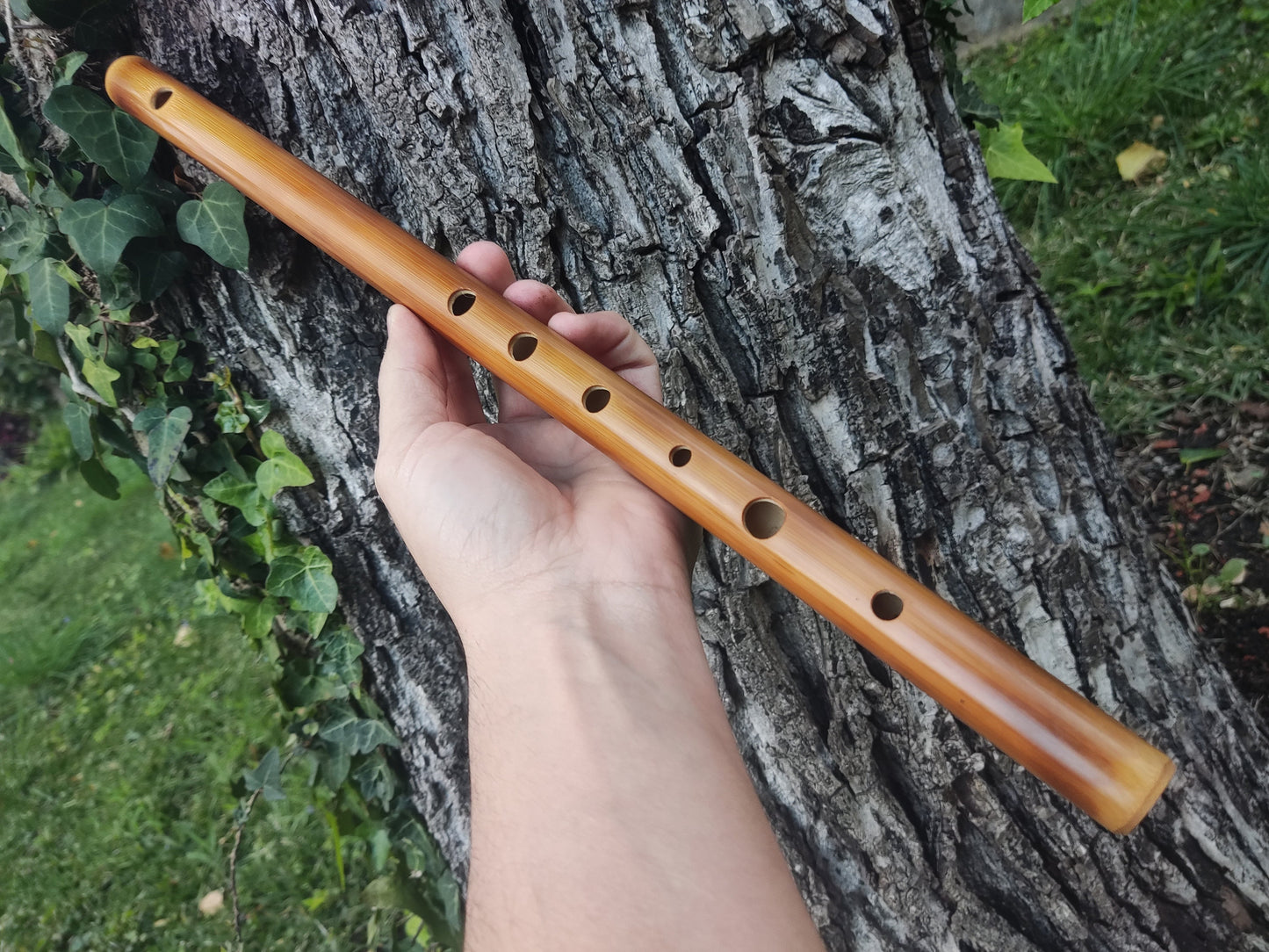 G Major Transverse Bamboo flute tuned to G major scale, Concert tuned at A440 Hz. Western equivalent of the Indian Bansuri, in light color