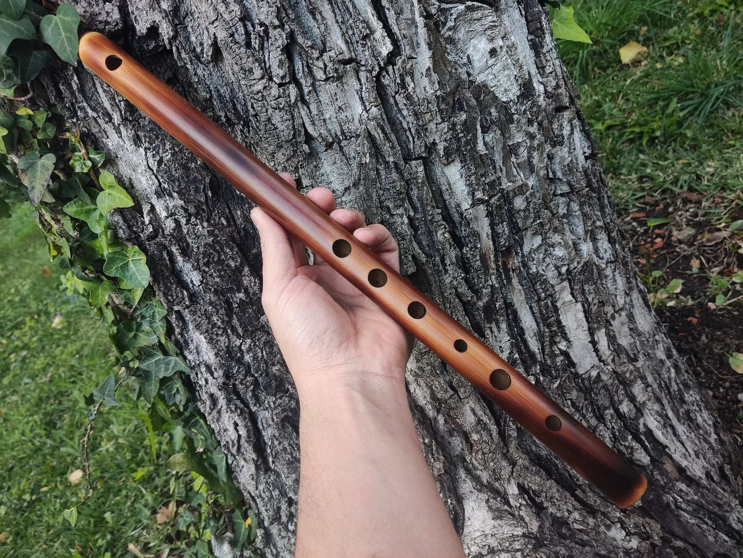 G Major Transverse Bamboo flute tuned to G major scale, Concert tuned at A440 Hz. Western equivalent of the Indian Bansuri, in light color