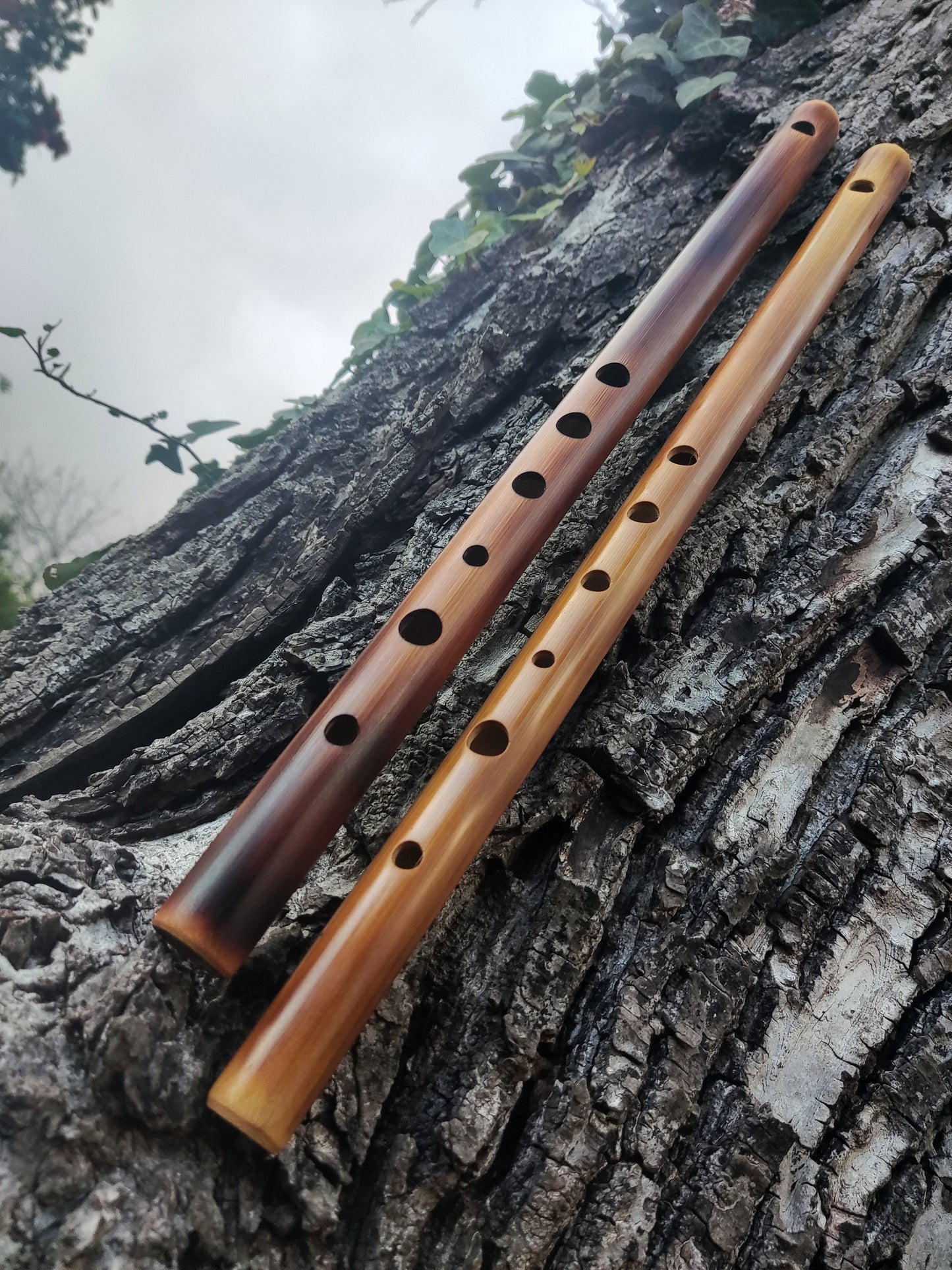 G Major Transverse Bamboo flute tuned to G major scale, Concert tuned at A440 Hz. Western equivalent of the Indian Bansuri, in light color