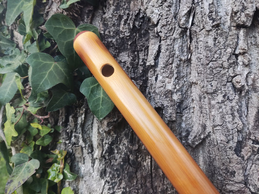 G Major Transverse Bamboo flute tuned to G major scale, Concert tuned at A440 Hz. Western equivalent of the Indian Bansuri, in light color