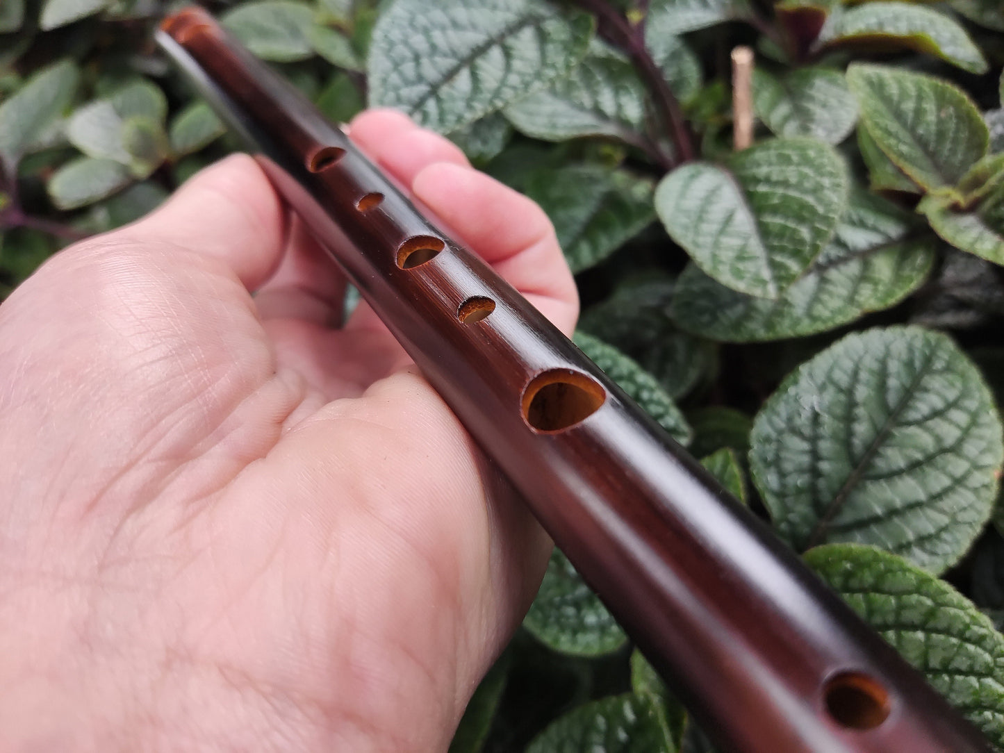 High D Arabian style Bamboo Flute (A=440Hz). Rustic Transverse flute. Ethnic middle eastern scale. Arabic Hijaz scale. Spanish gypsy
