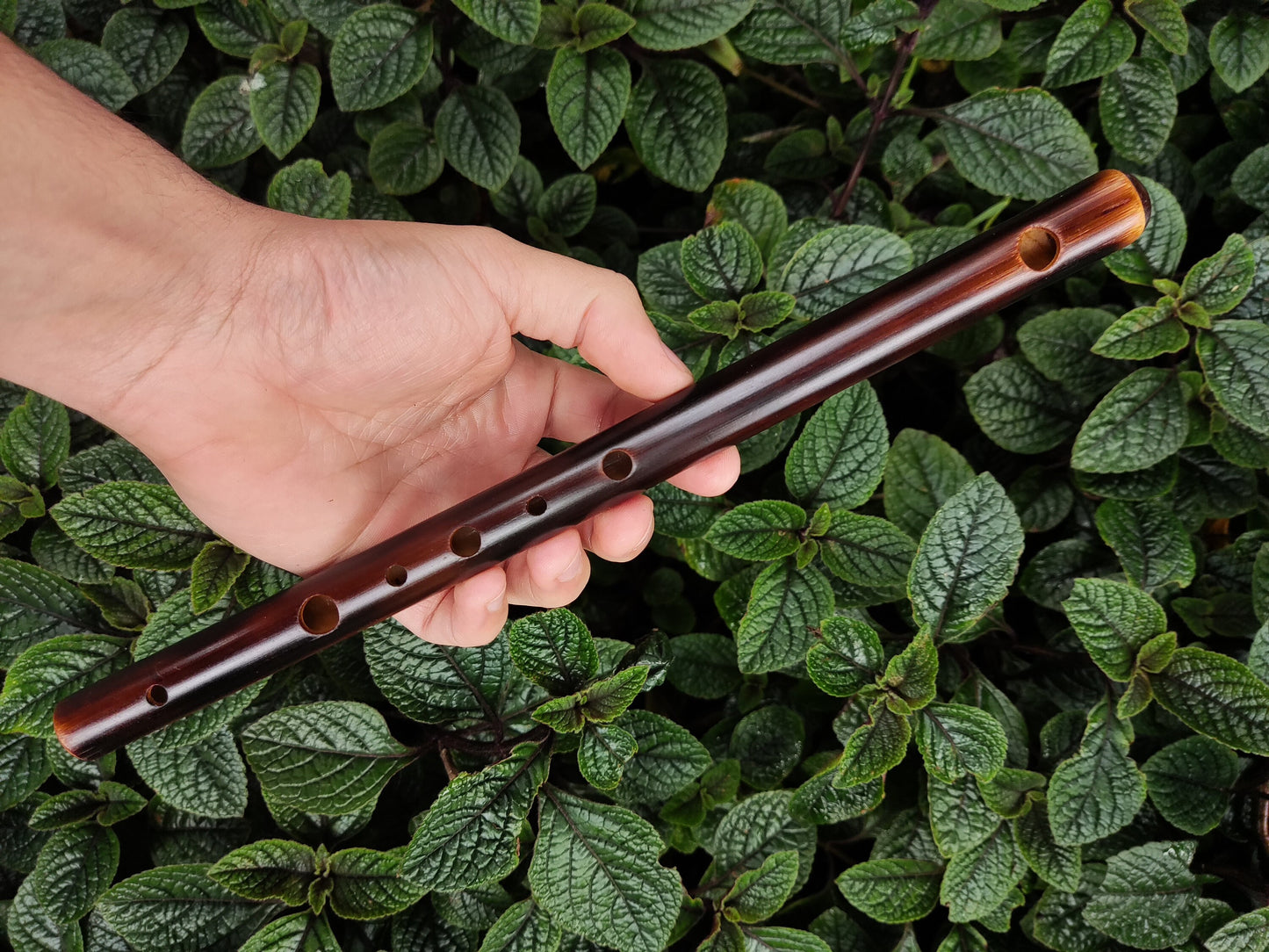 High D Arabian style Bamboo Flute (A=440Hz). Rustic Transverse flute. Ethnic middle eastern scale. Arabic Hijaz scale. Spanish gypsy