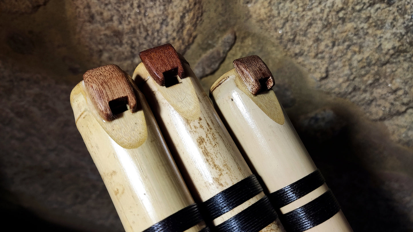 Flutes For Mandy. Three Fipple flutes in the key of G in minor melodic modes