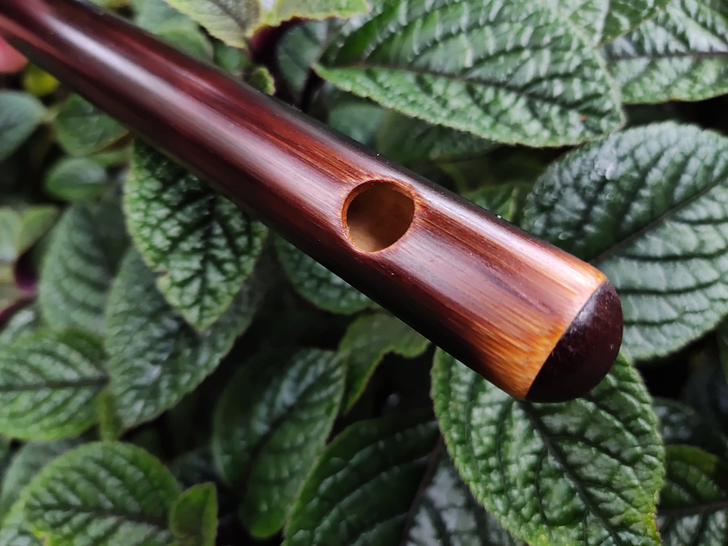 High D Arabian style Bamboo Flute (A=440Hz). Rustic Transverse flute. Ethnic middle eastern scale. Arabic Hijaz scale. Spanish gypsy