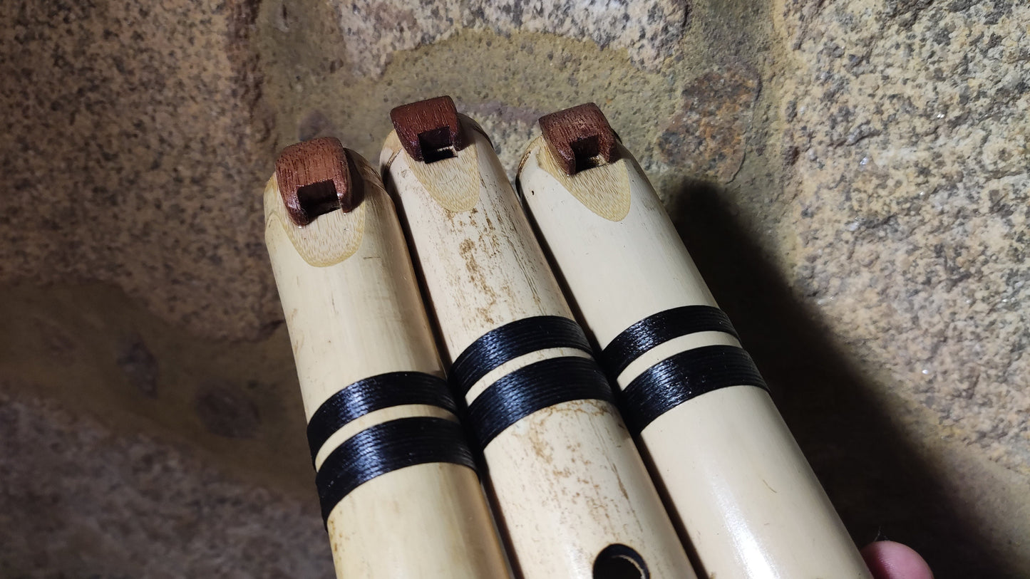 Flutes For Mandy. Three Fipple flutes in the key of G in minor melodic modes