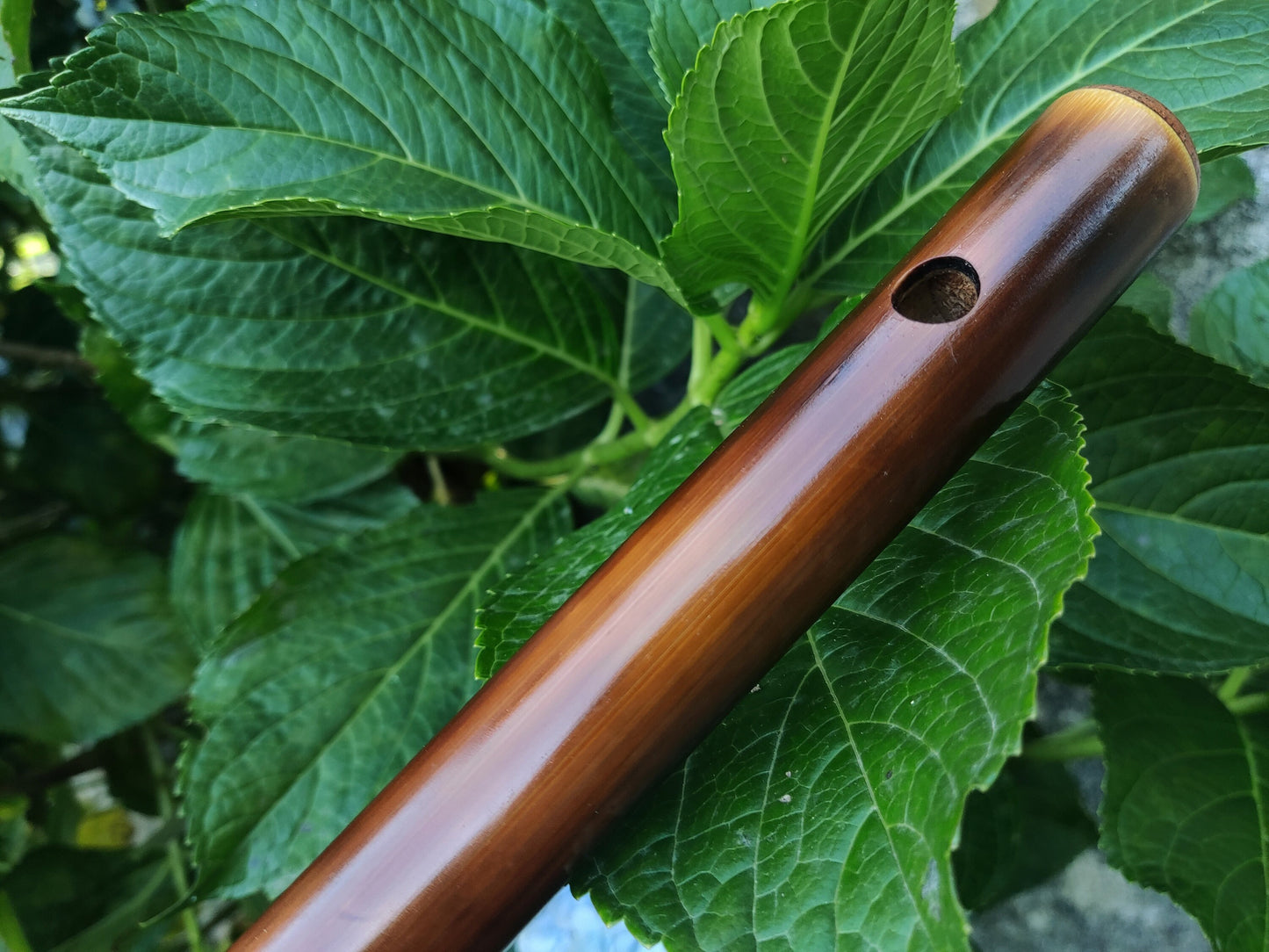 Transverse Bamboo flute in E Phrygian. Handmade bamboo flute. Phyrigan mode. Ethnic minor melodic mode. Dark burned design | Rui Gomes
