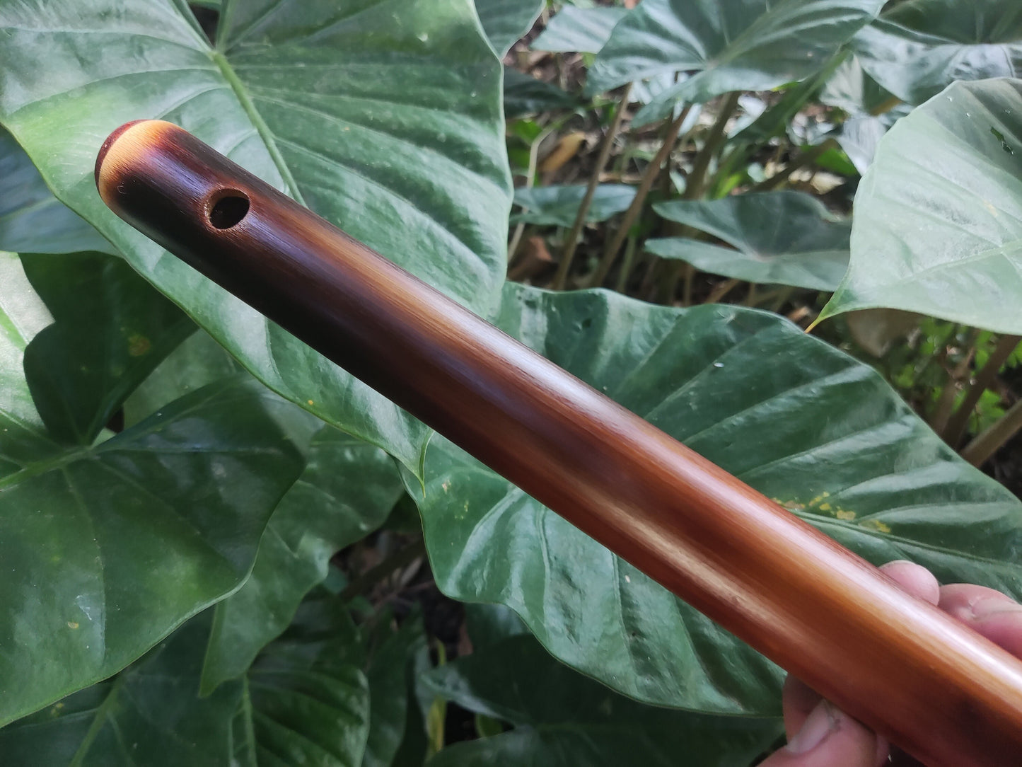 F pygmy Flute in 432Hz for John! :)