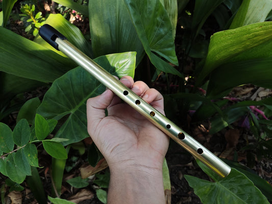 Gomes Whistle in D. Handmade Whistle. Penny whistle in D. Tin whistle. Irish whistle. Brass penny whistle. Celtic music. Irish flute
