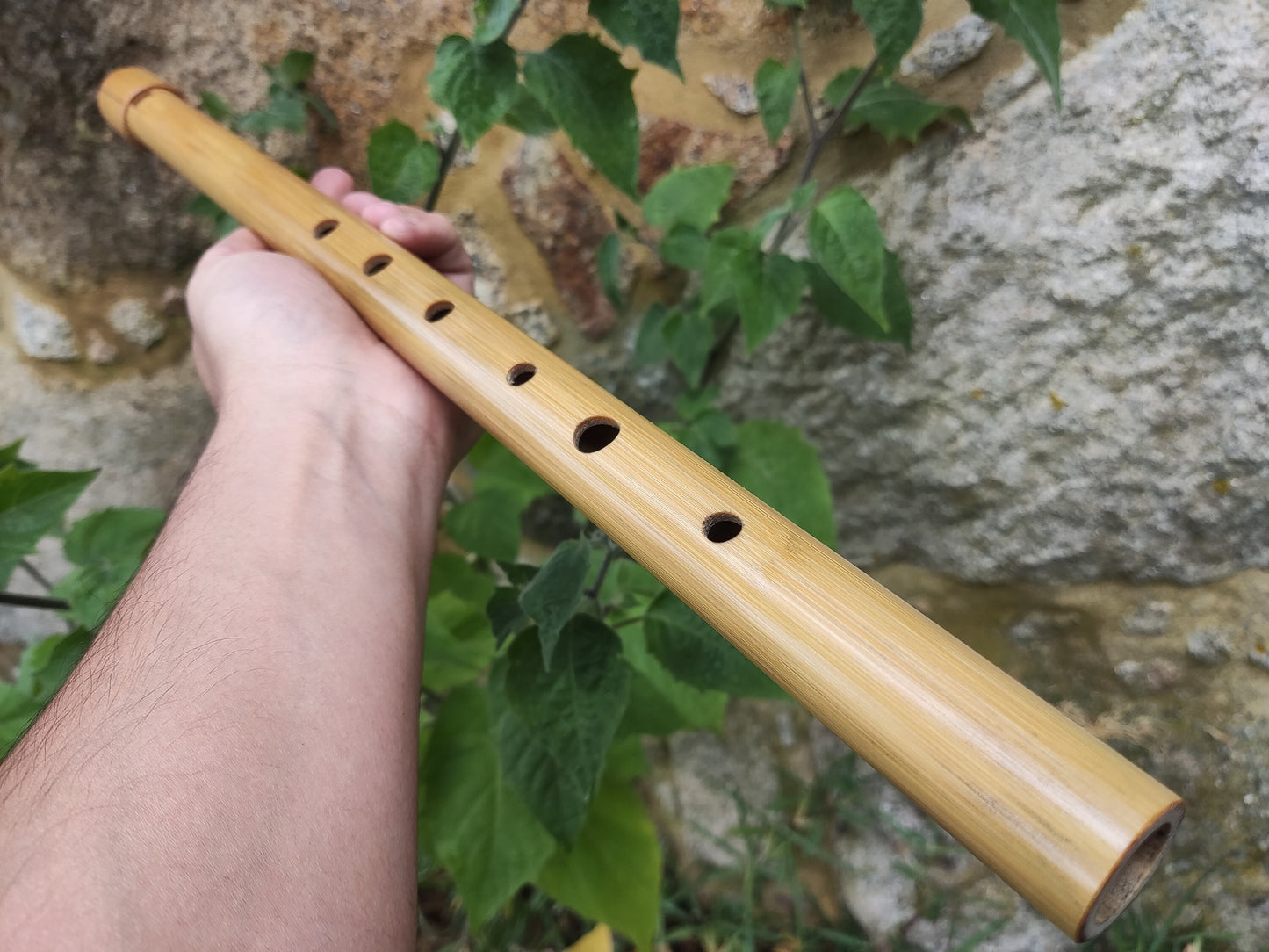 Low E Whistle for Jesse