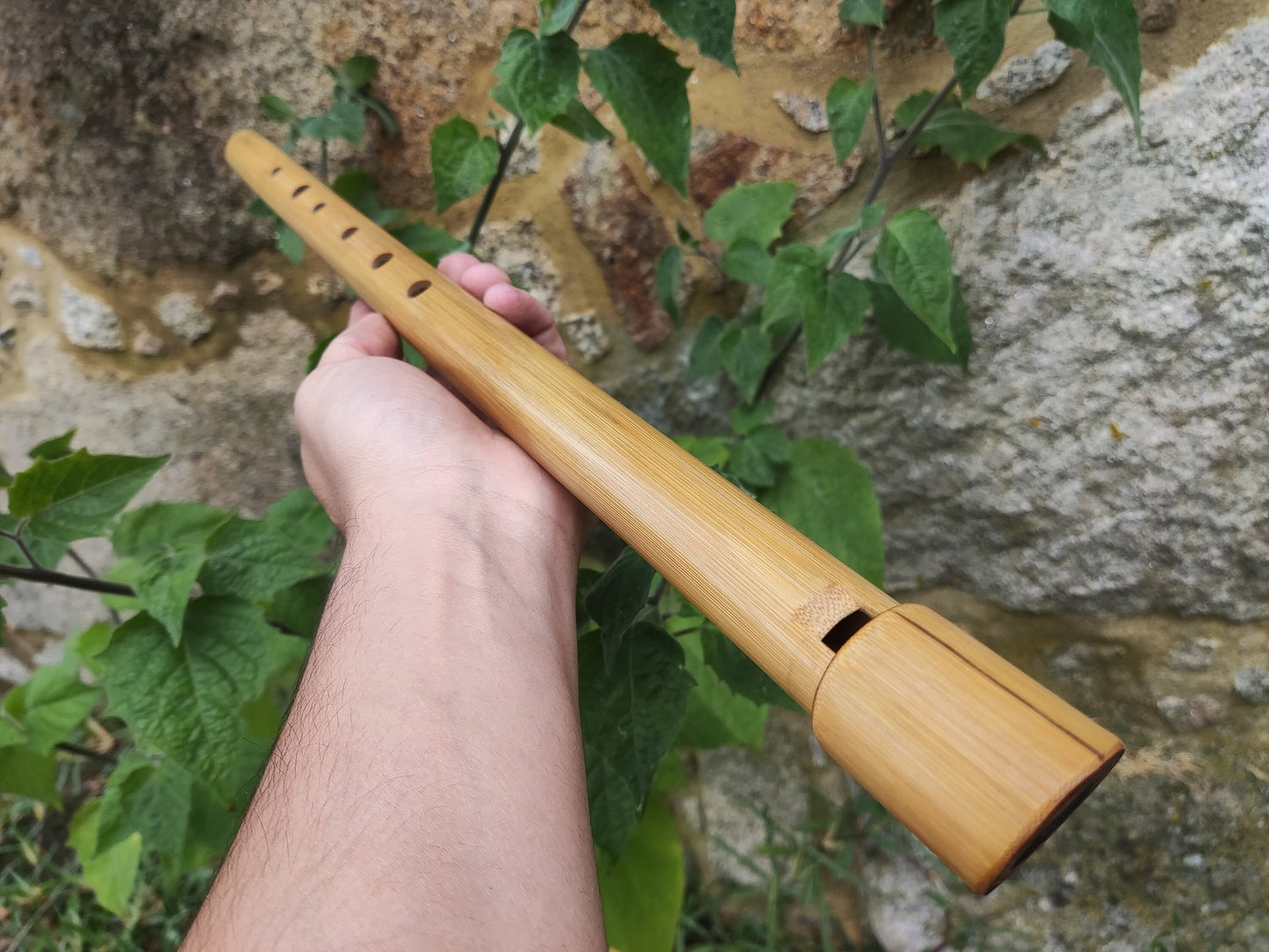 Low E Whistle for Jesse