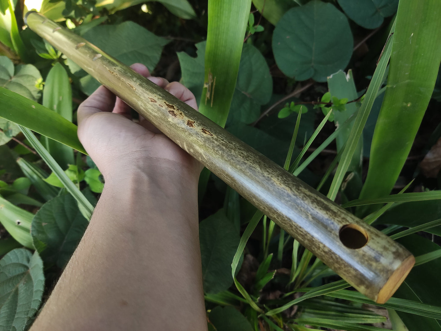 Major pentatonic flute. Culture fusion bamboo flute. Ethnic flute with a Major Pentatonic Scale. Rustic Meditative Flute. Sound healing.