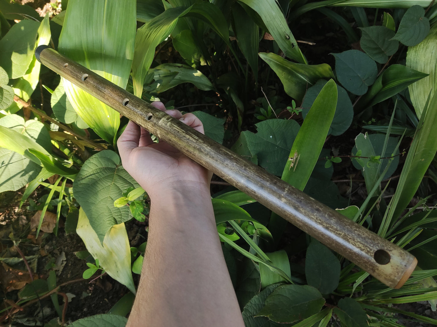 Major pentatonic flute. Culture fusion bamboo flute. Ethnic flute with a Major Pentatonic Scale. Rustic Meditative Flute. Sound healing.