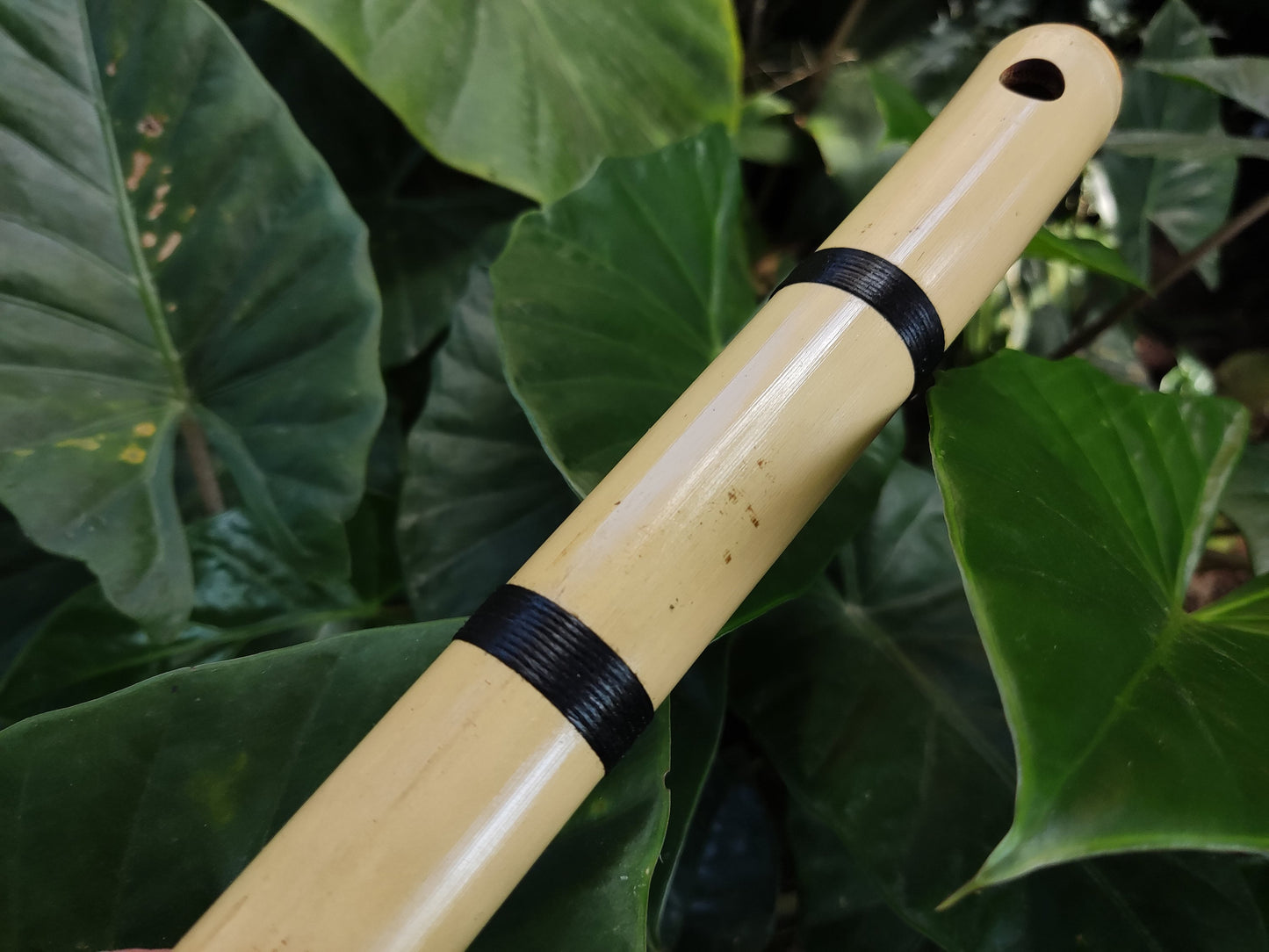 Small Transverse Bamboo flute Orientally Inspired | Same scale as the Japanese Shakuhachi | Zen inspired tool for Meditation | Rui Gomes