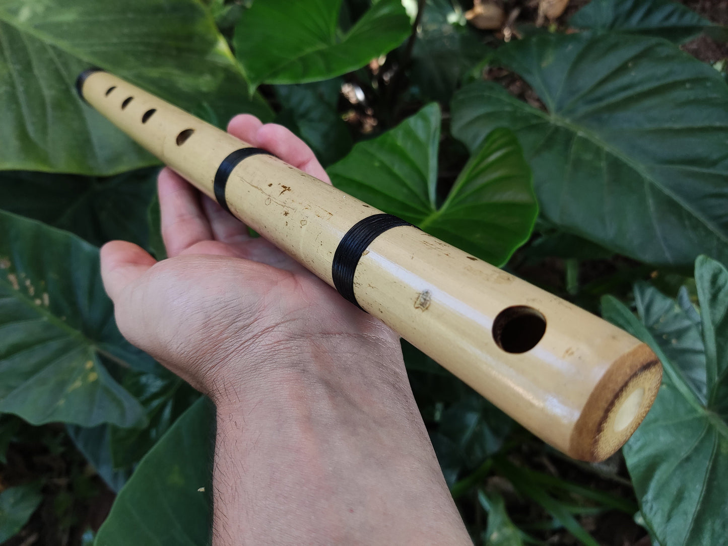 Small Transverse Bamboo flute Orientally Inspired | Same scale as the Japanese Shakuhachi | Zen inspired tool for Meditation | Rui Gomes