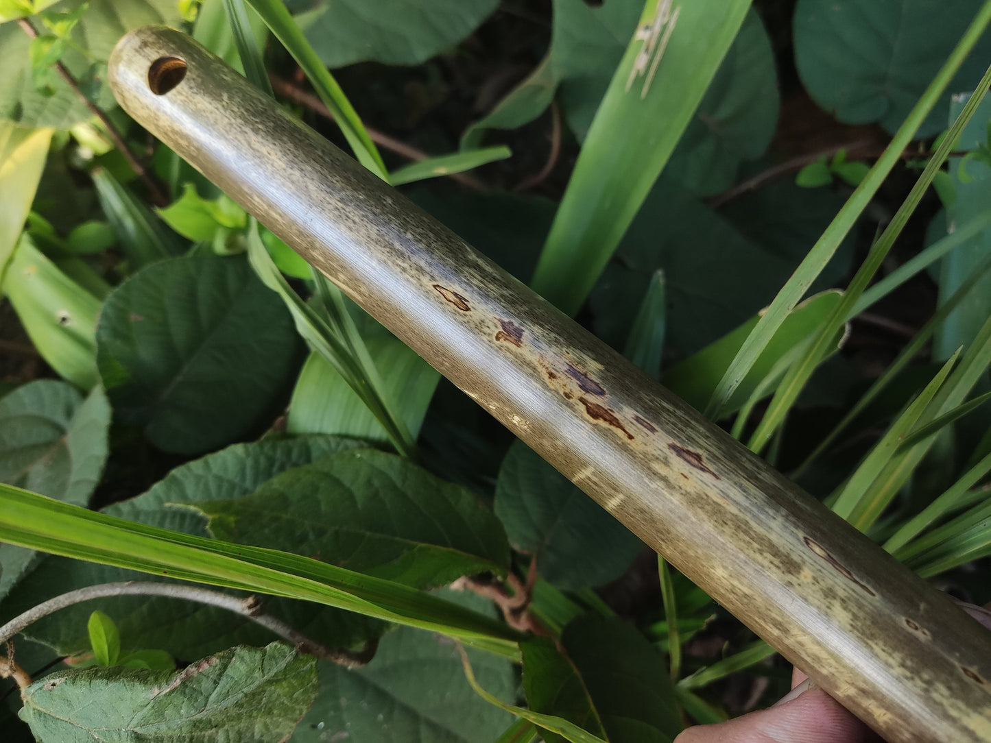 Major pentatonic flute. Culture fusion bamboo flute. Ethnic flute with a Major Pentatonic Scale. Rustic Meditative Flute. Sound healing.