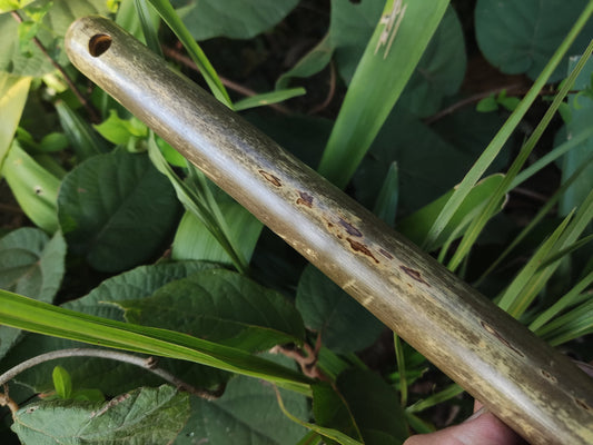 Major pentatonic flute. Culture fusion bamboo flute. Ethnic flute with a Major Pentatonic Scale. Rustic Meditative Flute. Sound healing.