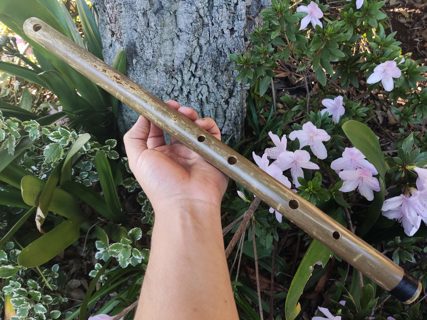 Major pentatonic flute. Culture fusion bamboo flute. Ethnic flute with a Major Pentatonic Scale. Rustic Meditative Flute. Sound healing.
