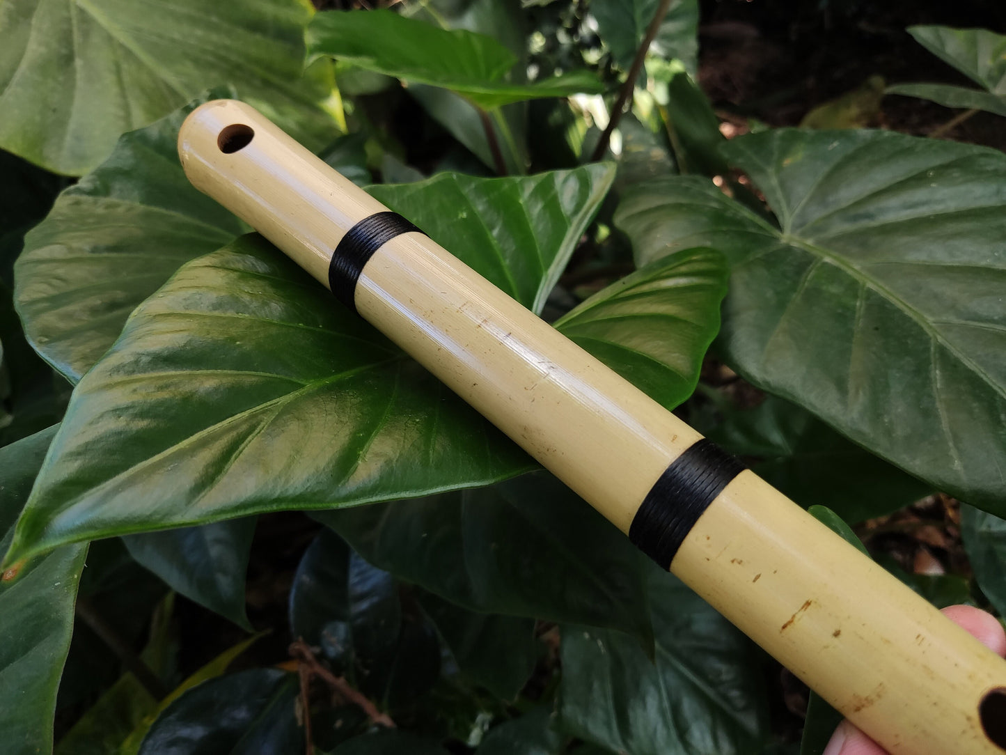 Small Transverse Bamboo flute Orientally Inspired | Same scale as the Japanese Shakuhachi | Zen inspired tool for Meditation | Rui Gomes