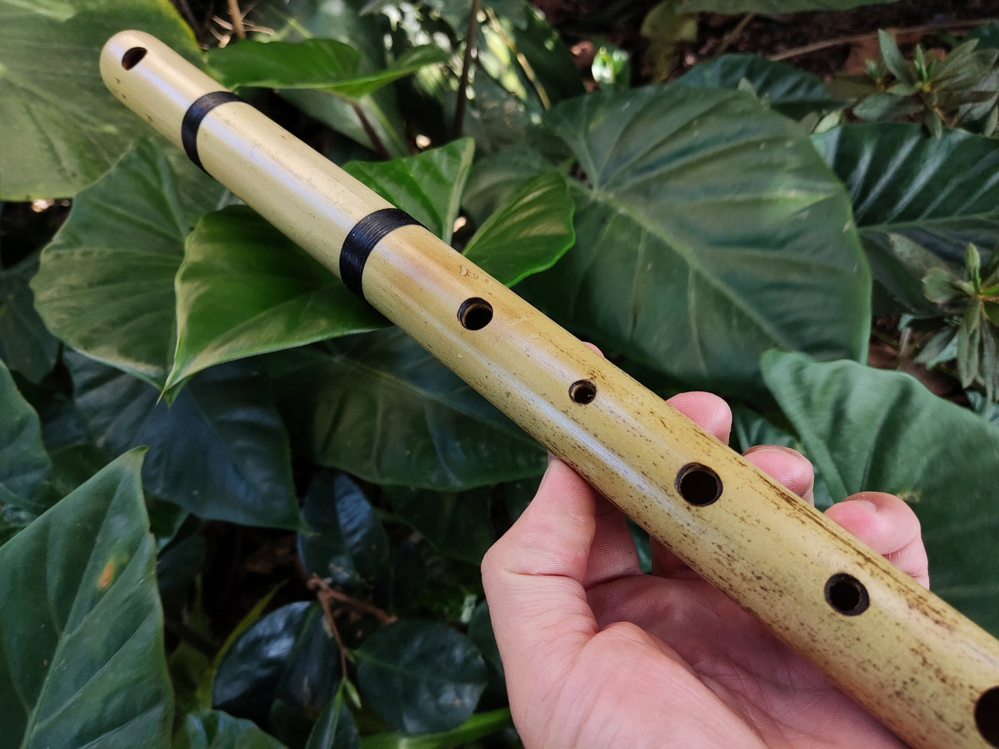 Spanish Gypsy bamboo Flute | Handmade ethnic instrument in Hijaz Kar scale | Arabian style Sound for sound healing & meditation | Rui Gomes