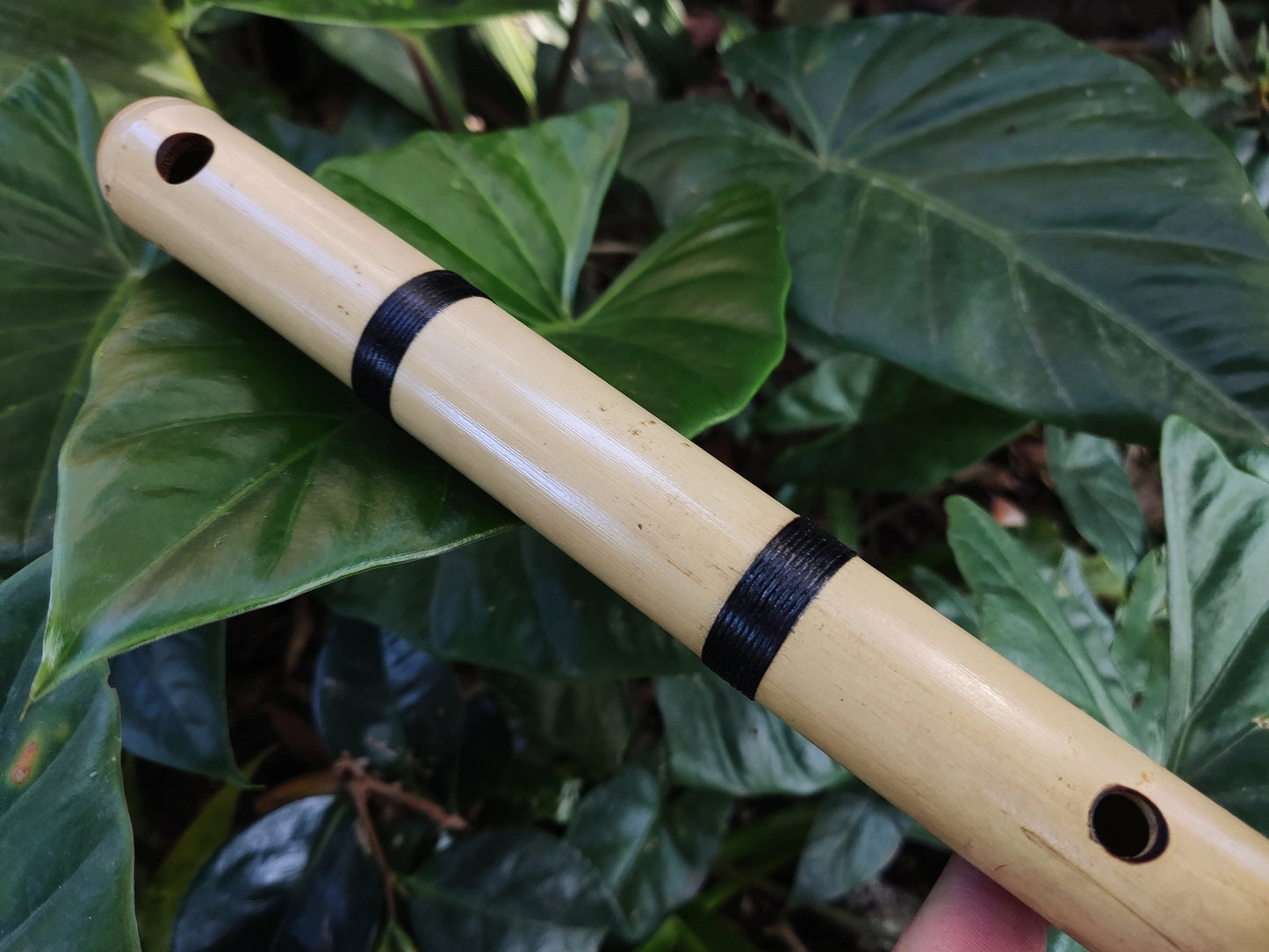 Spanish Gypsy bamboo Flute | Handmade ethnic instrument in Hijaz Kar scale | Arabian style Sound for sound healing & meditation | Rui Gomes