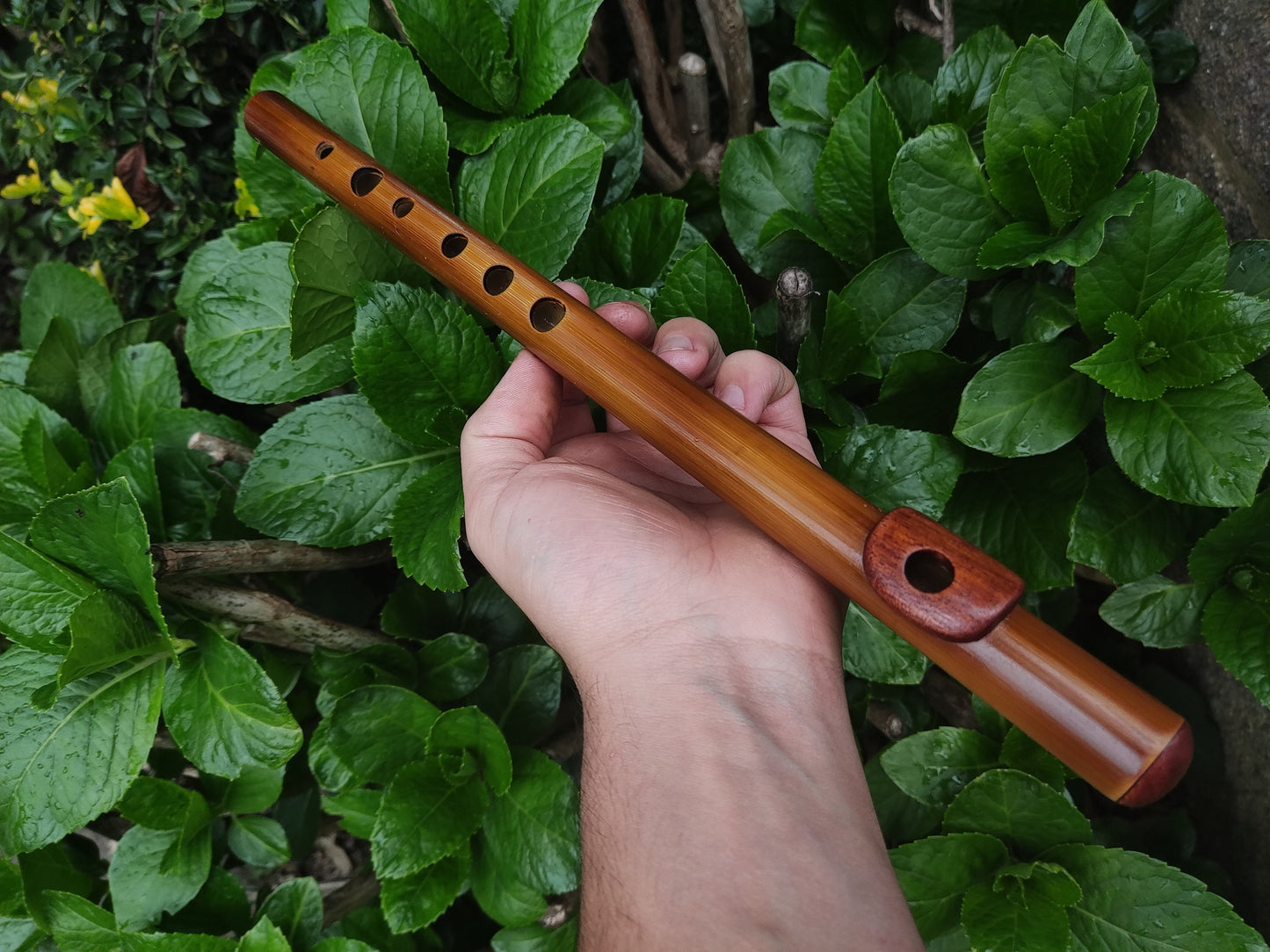 Bamboo Flute In C5 major (soprano) with African Mahogany lip plate and cap.