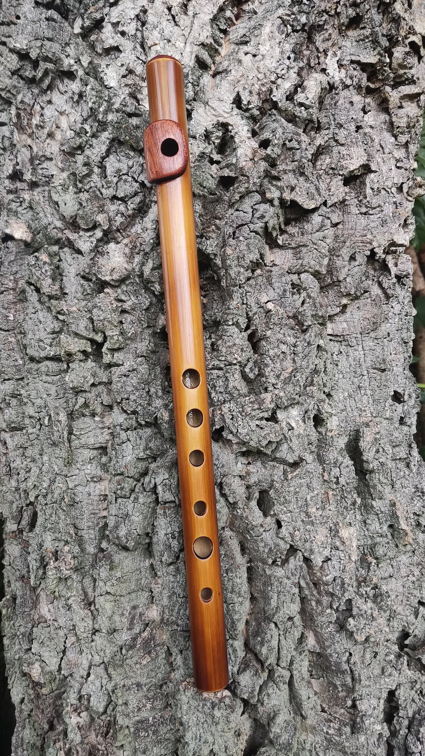 Bamboo Flute In C5 major (soprano) with African Mahogany lip plate and cap.