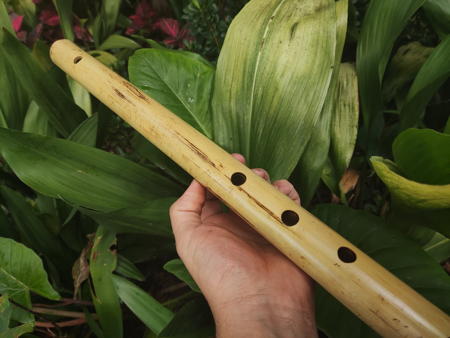 Low C major Flute, Handmade out of bamboo | Bansuri equivalent with a Deep, transporting voice | For Folk and world music | Rui Gomes