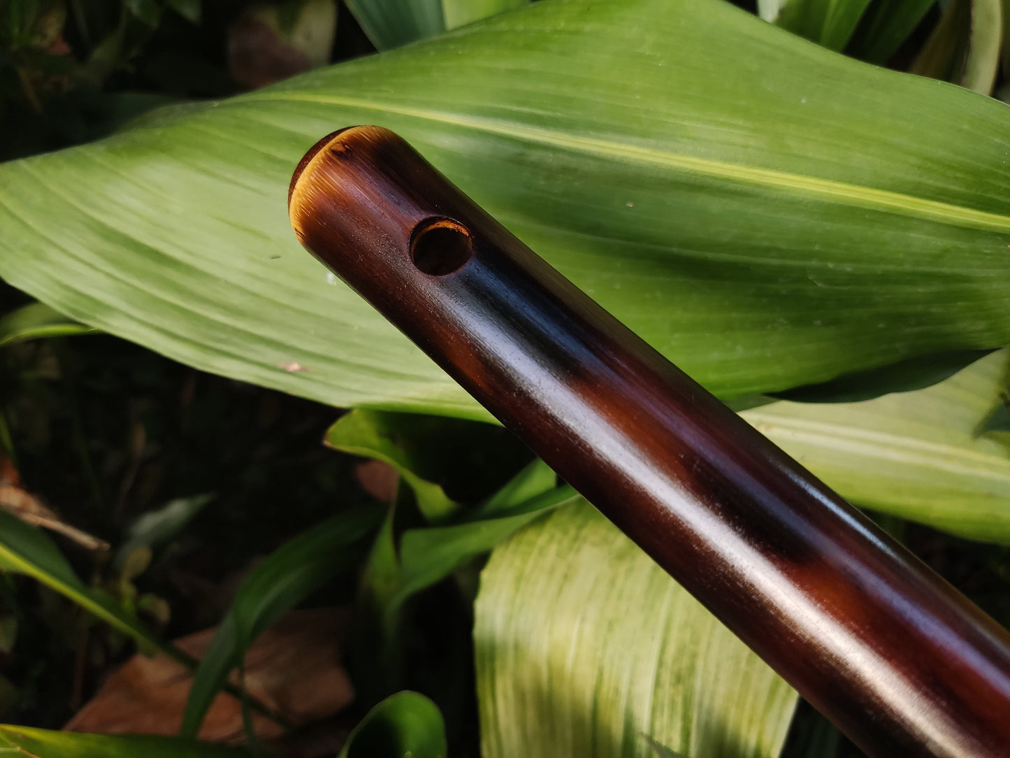 Low E Arabian style Bamboo Flute (A=440Hz) | Rustic  flute scale with an Ethnic middle eastern Vibe | Hijaz or Spanish gypsy | Rui Gomes