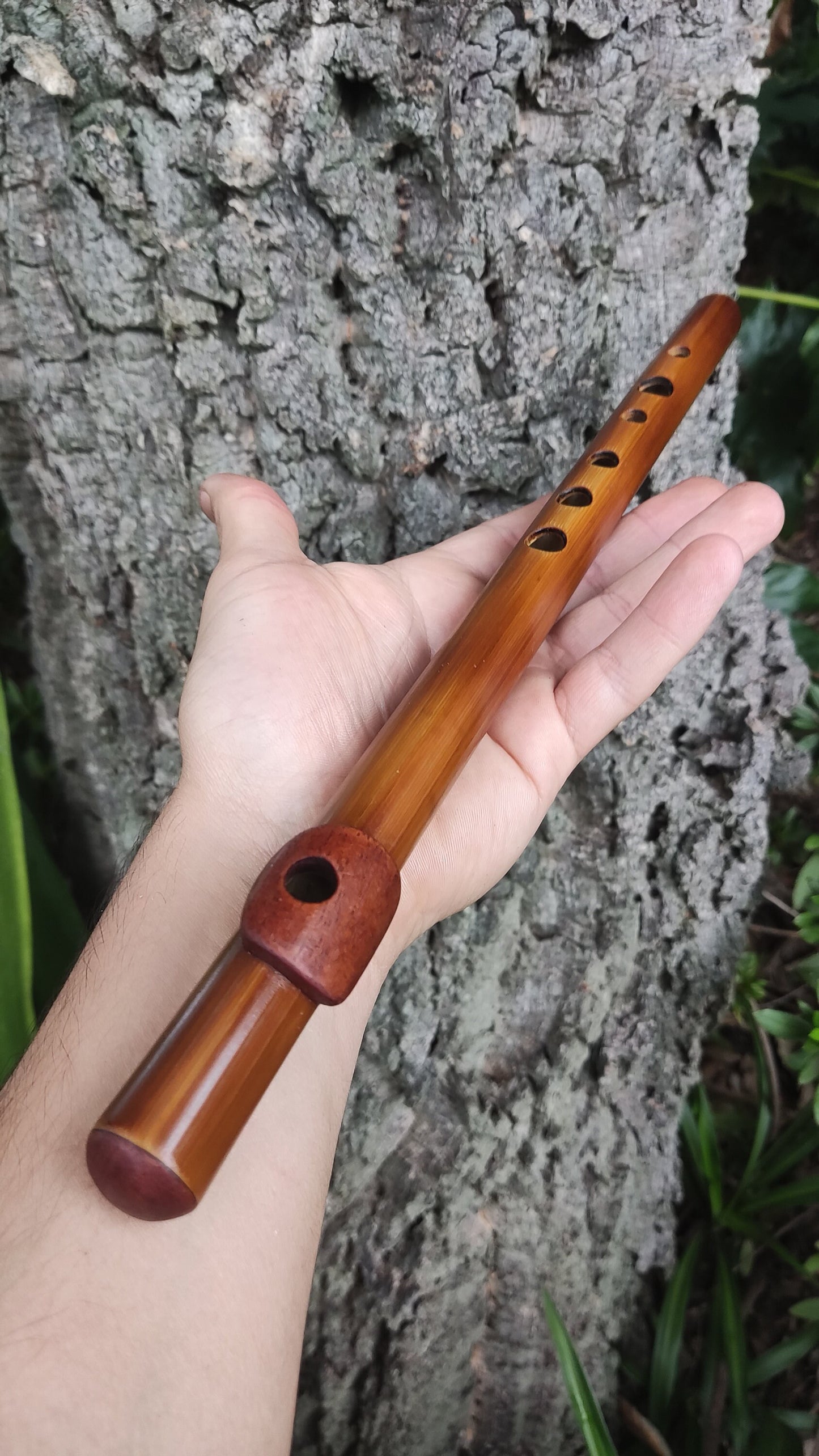 Bamboo Flute In C5 major (soprano) with African Mahogany lip plate and cap.