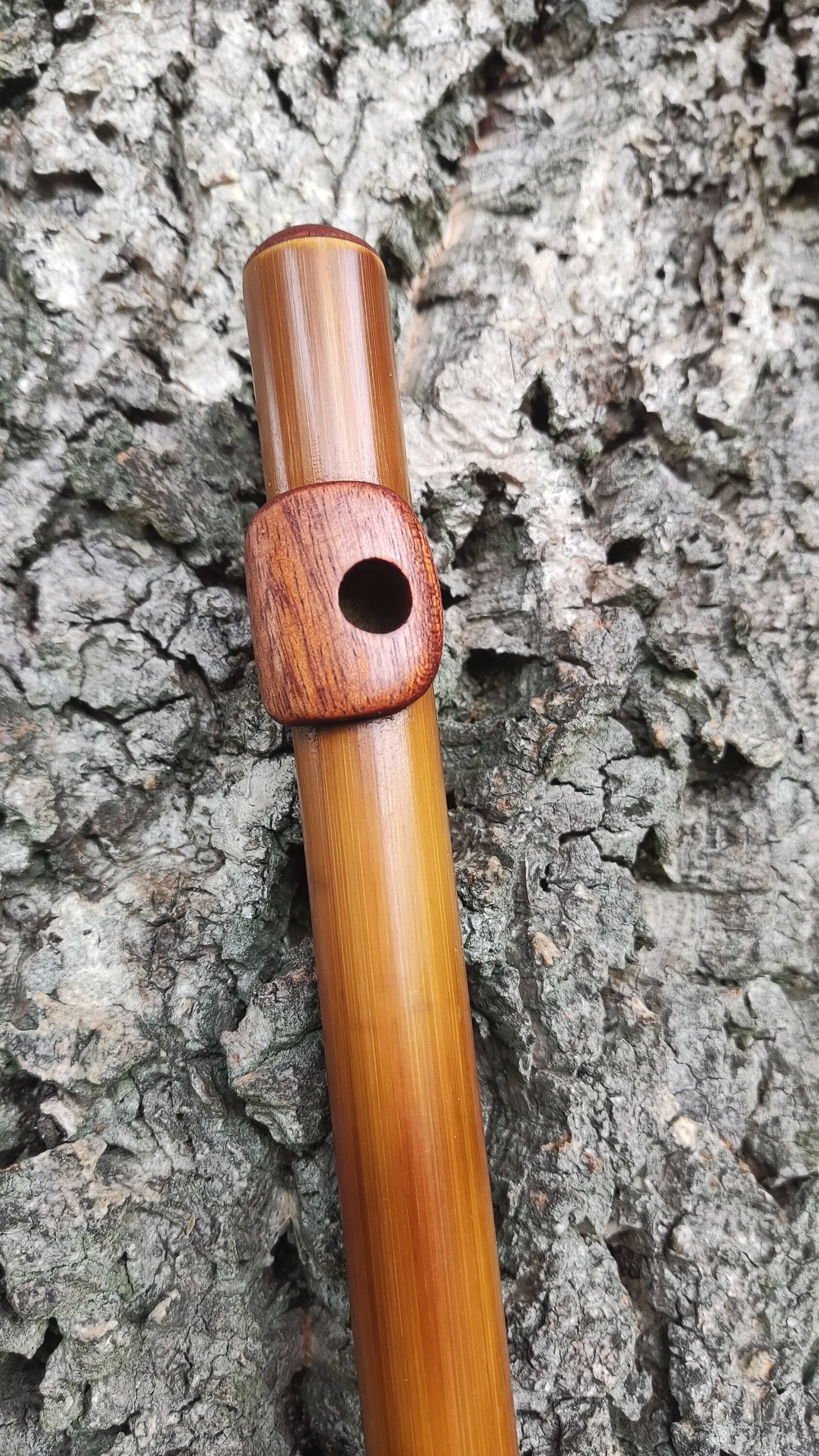 Bamboo Flute In C5 major (soprano) with African Mahogany lip plate and cap.