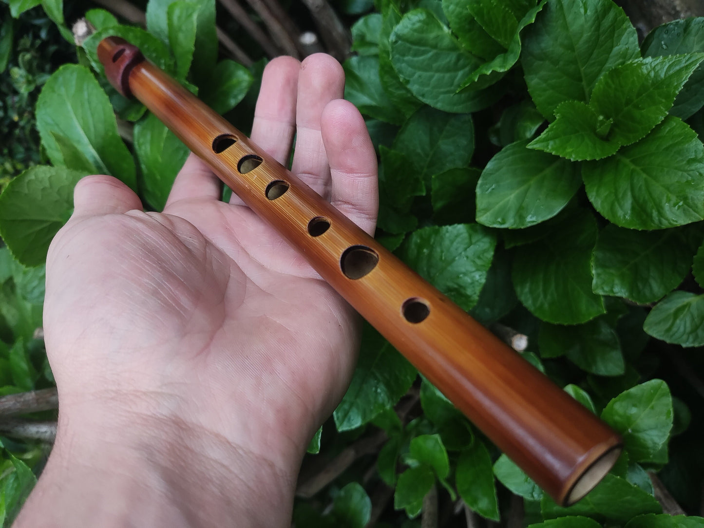 Bamboo Flute In C5 major (soprano) with African Mahogany lip plate and cap.
